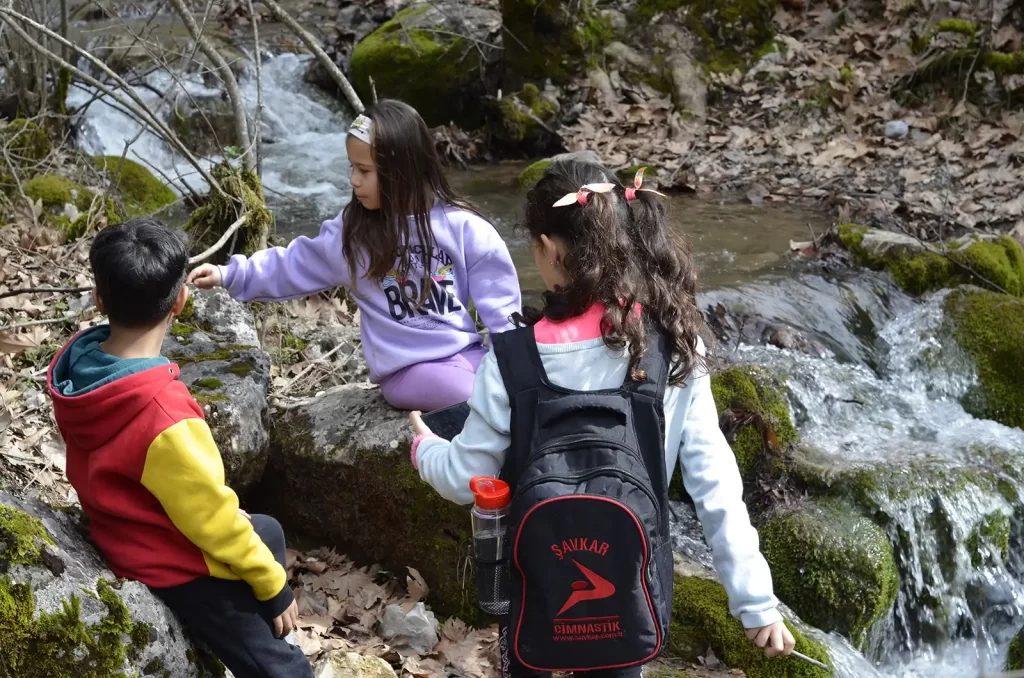 Hiking with Kids: Exploring Nature, Learning, and Living Healthily