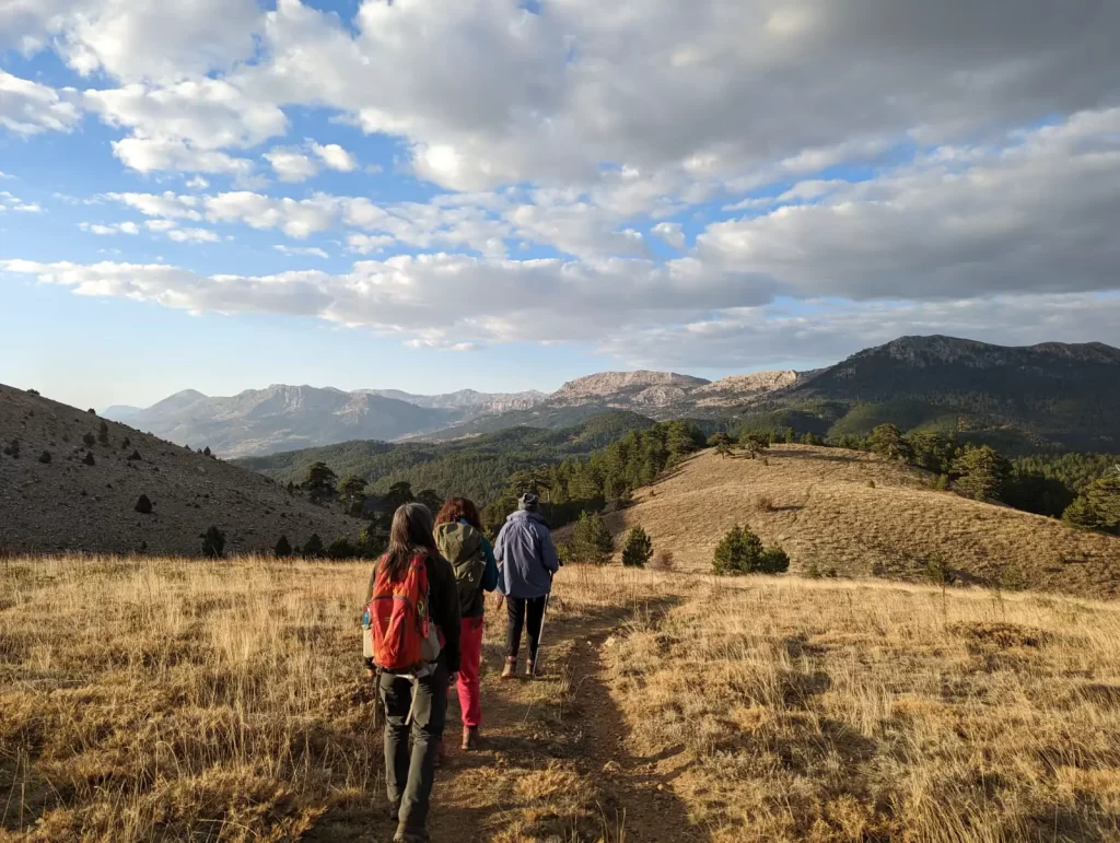 The Benefits of Hiking and Walking in Nature for Your Body and Mind