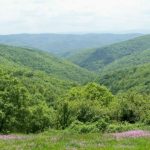 Yildiz Mountains