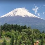Fuji Mountain