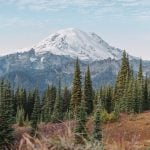 Mount Logan
