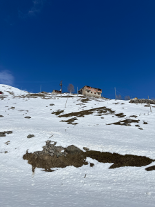 The Area with Houses in Orta Yayla